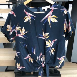 Amour Vert stunning birds of pray top.